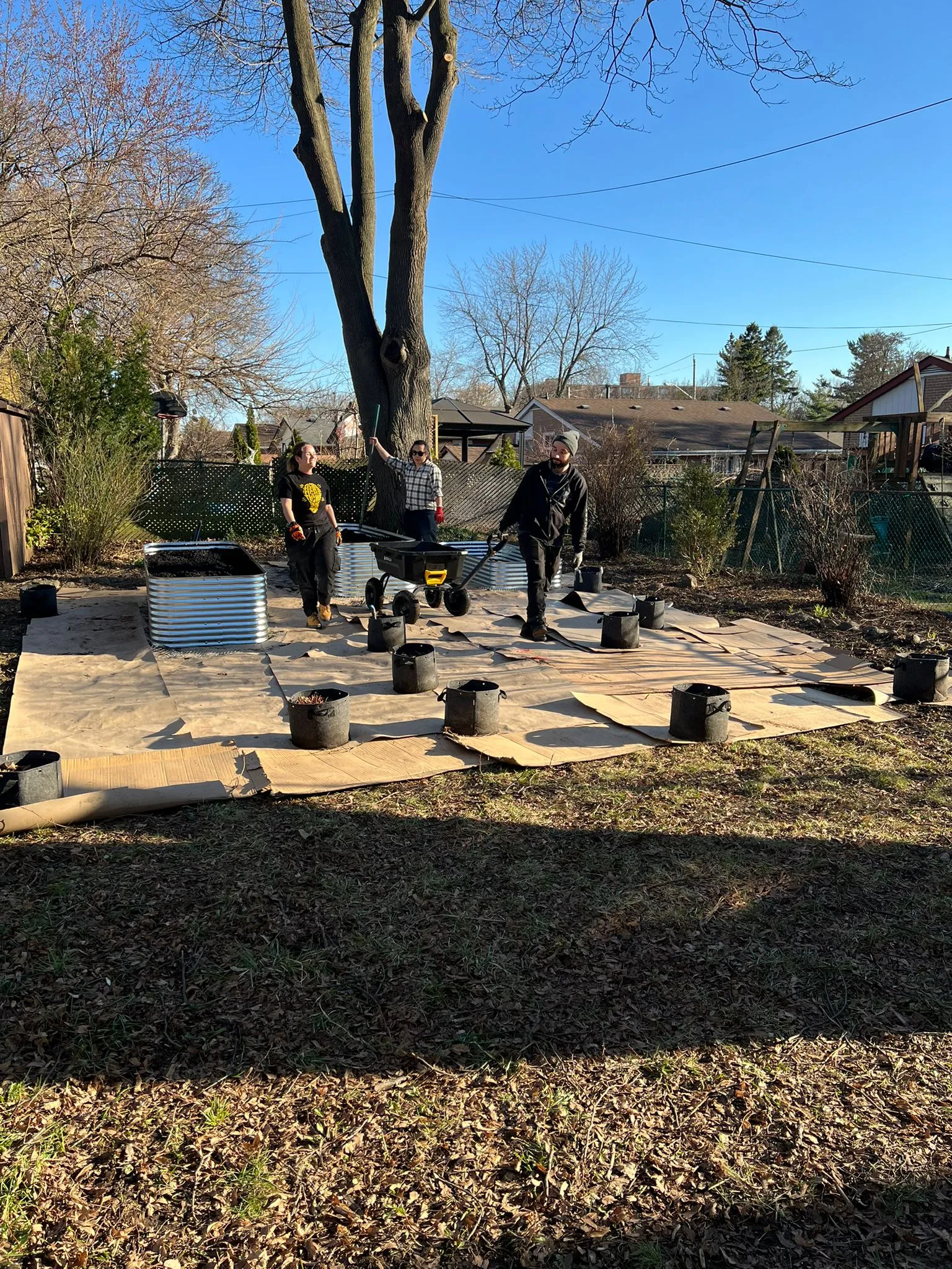Garden construction in progress