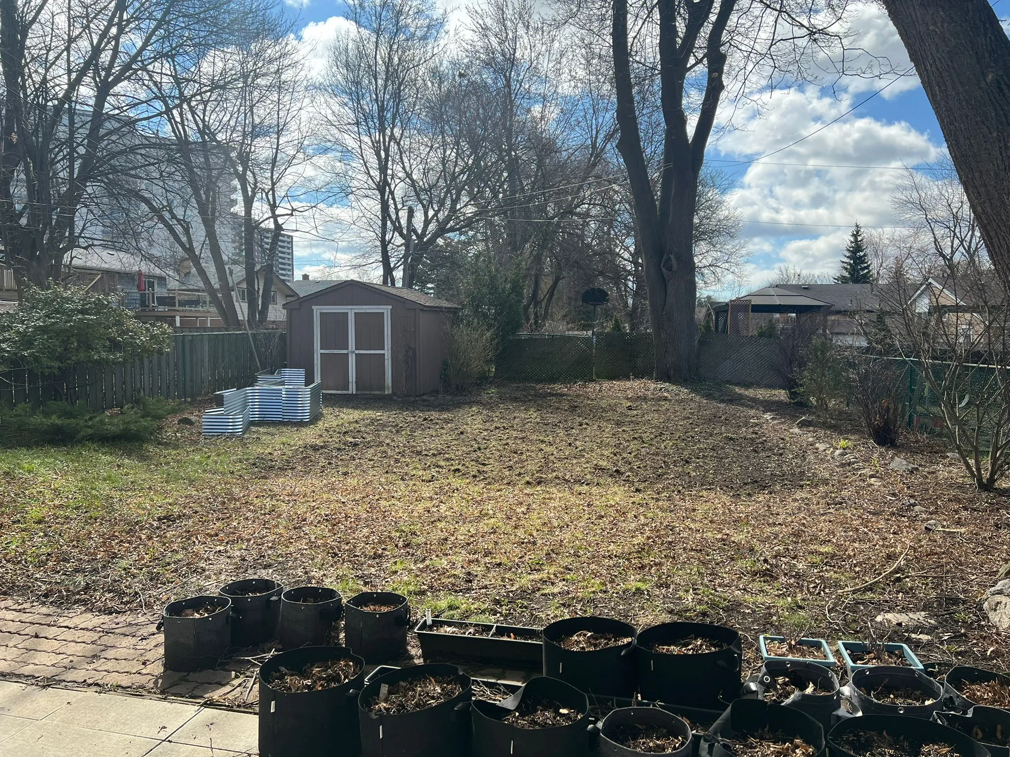 Garden before transformation